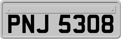 PNJ5308