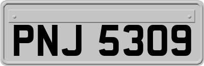 PNJ5309
