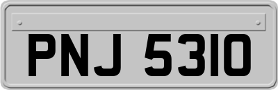 PNJ5310