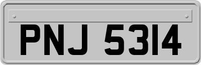 PNJ5314