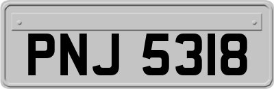 PNJ5318