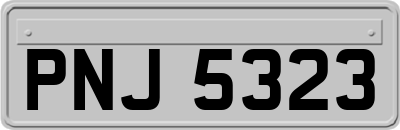 PNJ5323