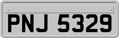 PNJ5329