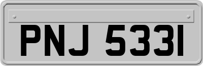 PNJ5331