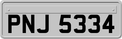PNJ5334