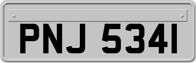 PNJ5341
