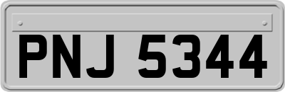 PNJ5344