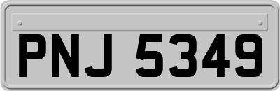 PNJ5349