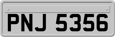 PNJ5356
