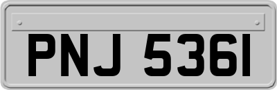 PNJ5361