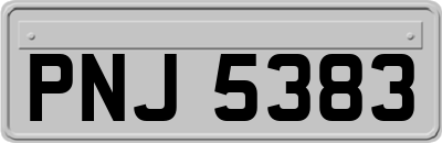 PNJ5383