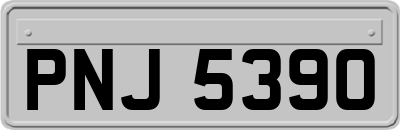 PNJ5390