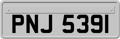 PNJ5391