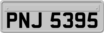 PNJ5395