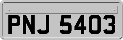 PNJ5403