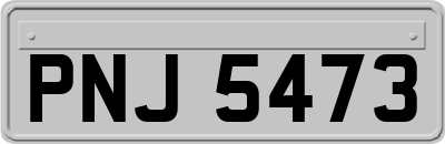 PNJ5473