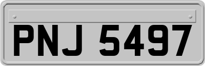 PNJ5497