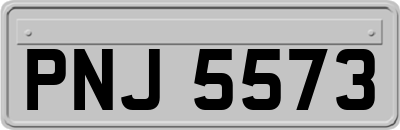 PNJ5573