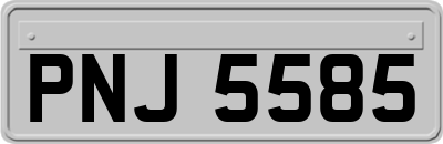 PNJ5585