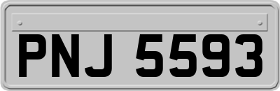 PNJ5593