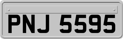 PNJ5595