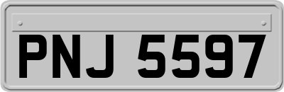 PNJ5597