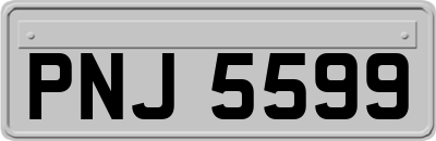 PNJ5599