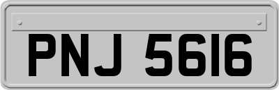 PNJ5616