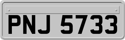 PNJ5733