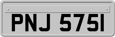 PNJ5751