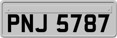 PNJ5787