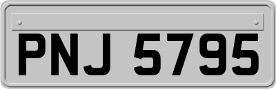 PNJ5795