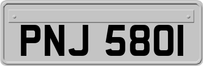 PNJ5801