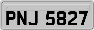 PNJ5827