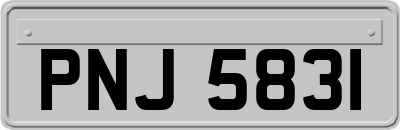 PNJ5831
