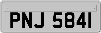 PNJ5841