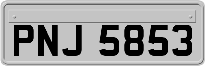 PNJ5853