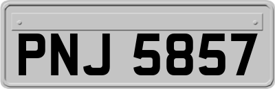 PNJ5857