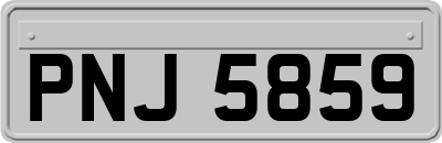 PNJ5859