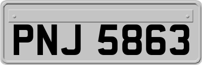 PNJ5863