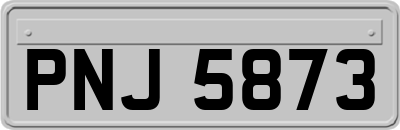 PNJ5873