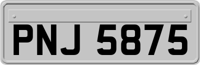 PNJ5875