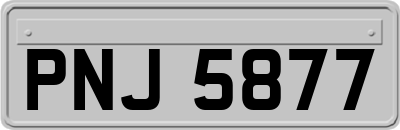 PNJ5877