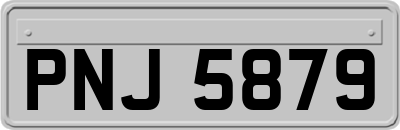 PNJ5879