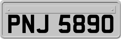 PNJ5890
