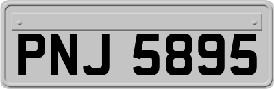 PNJ5895