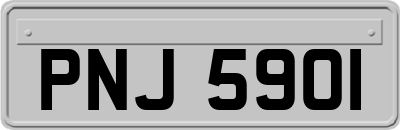 PNJ5901