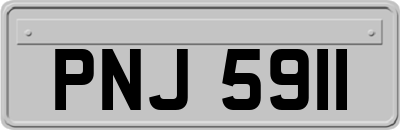 PNJ5911