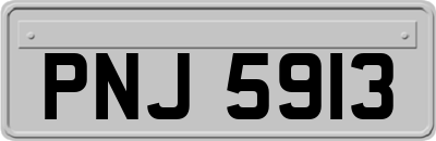 PNJ5913