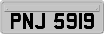 PNJ5919